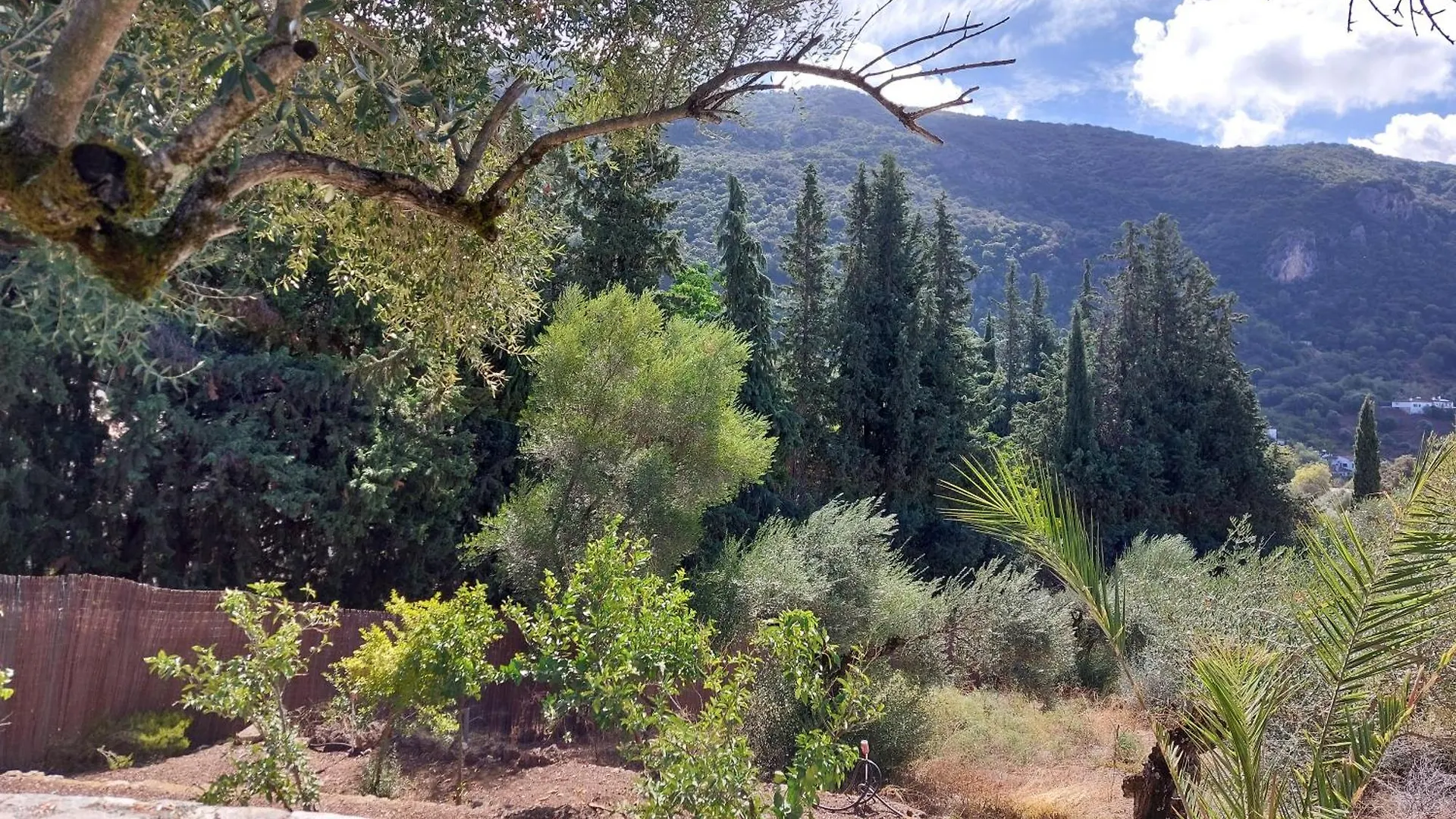 Sahira Ecolodge Casa Rural Con Encanto El Bosque